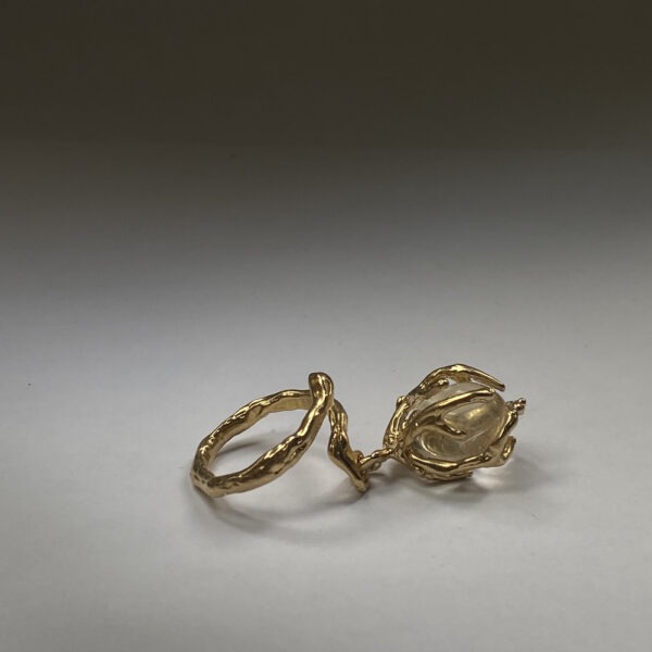 Anel LACRIMA RORIS DOURADO (3)